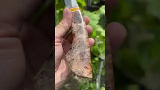 Вот такой вот работяга