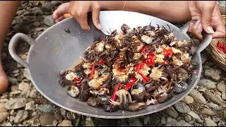 Adventure, Catching River Crabs and Cooking raw crabs with spicy recipe for jungle food