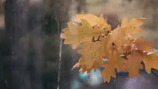 איצו סבו - שעון החורף