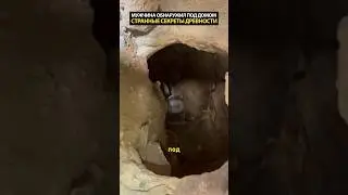 Мужчина обнаружил под домом ужасные секреты