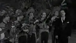 Cucurucucu Paloma