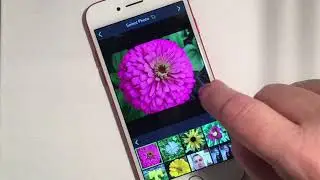 2 Choosing and Preparing Your Photo