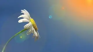 ЛЮДИ ГОВОРЯТ... ВАШИ ГОЛОСОВЫЕ... ИНГА ХОСРОЕВА & ВЕДЬМИНА ИЗБА
