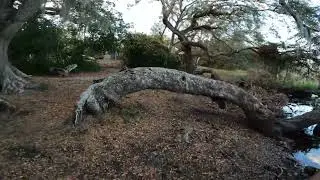 A trip to the park! (parkour)