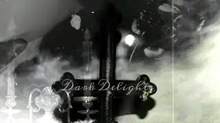 Dark Delight Stop Motion Animation