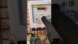 Остановка Нева 301 #shortsvideo #reels #humor #tiktok
