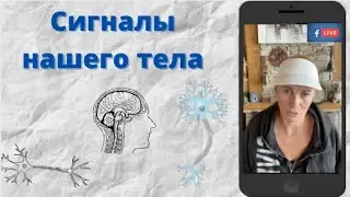 How to hear your body?