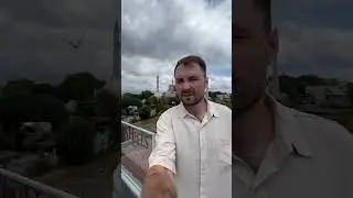 Хочешь, чтобы чайка подлетела постучи по тарелке. Лайфак проверен😀