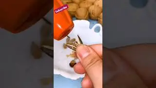 It is quick and easy to use it to open the shell of nuts#shorts #gadgets #viralvideo