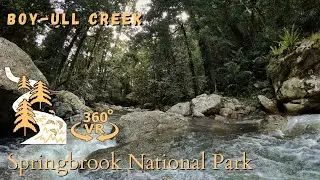 Boy-Ull Creek, Springbrook National Park - 360°/VR Immersive Experience