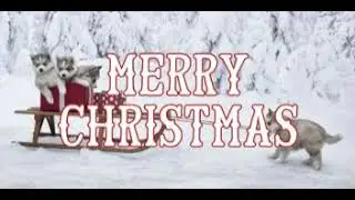 Ventures - Sleigh Ride (Classic Christmas)