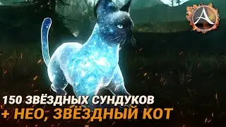ArcheAge. 150 звёздных ларцов + обзор звёздного кота