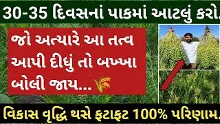 વિકાસ વૃદ્ધિ નો રામબાણ ઈલાજ 💥 | 100% રિઝલ્ટ વાળુ તત્ત્વ | જીરૂં ઘઉં ચણા | હરીભાઈ પટેલ | khedut sahay