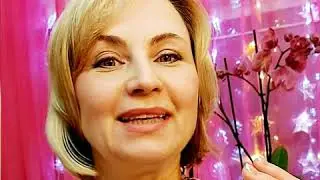 Как восстановить кислотно-щелочной баланс в организме. ГИД по ощелачиванию от Елены Леваи