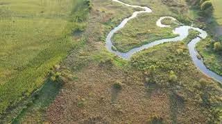 Fen Wetland Profile - Forever Fen