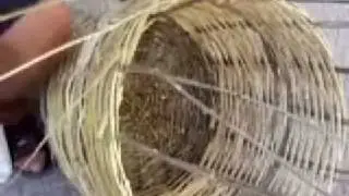 Realizzazione di Panaro Santa Teresa di Riva