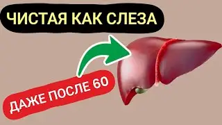 Забудьте АПТЕКИ. Съешьте утром, а печень сама вечером выплюнет все токсины.