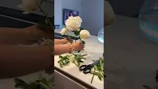 13 августа 2024 г.