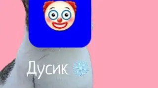 дусик-клоун? прокси базарит 2