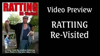 Rat Catchers