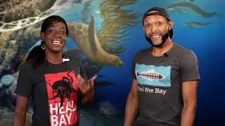 Dive into Heal the Bay's SEA Education