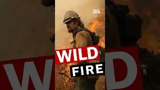 Fight Wildfires 🔥