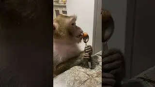 Мням мням ВКУСНЯШКА