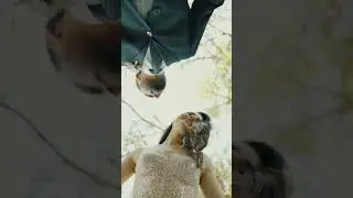Başak & Bilal