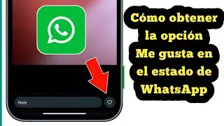 Cómo obtener la opción Me gusta en el estado de WhatsApp |
