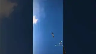 Unidentified Flying Objects! - WTB