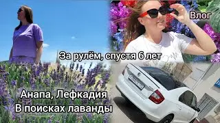 Вождение по Краснодару. 3 года мечтали и такое разочарование 😞