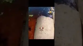 не смотри до конца!!?