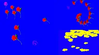 blue screen flower effect Free download video