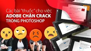 Các bài 