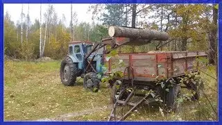 Погрузка Осины Длиномером Maksim_TechnikPRO