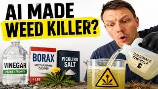 I Tried ChatGPT’s Homemade Weed Killer — Does It Actually Work?