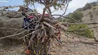 "The witch sister's effort to bring the newlywed back to Ishaq."