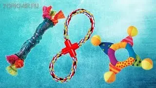 Игрушки для собак | Как выбрать | Какую купить.
