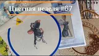 Цветная неделя 67/22.08.2024-28.08.2024. Панна, Овен, Айне, Зайцева, Совиный лес, Кулакова, MillHill