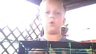 Убераю клетку хомика
