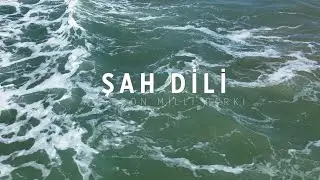 Abşeron Milli Parkı, Şahdili