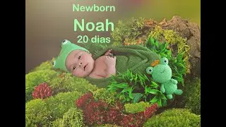 Noah 20 dias