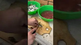 Рыба в манке. Как чистить ставриду. Как пожарить рыбу в манке 