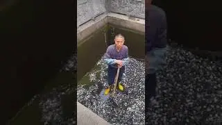 Вот кто деньги гребёт лопатой