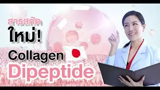 ผิวสุขภาพดีด้วยสารสกัดใหม่ คอลลาเจน จากญี่ปุ่น Collagen Dipeptide