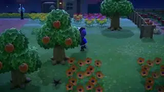 New Leaf intro as a New Horizons tune
