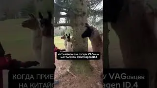 Сегодня шутки не про BMW