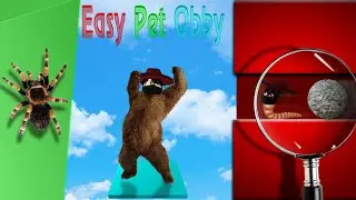 Оби но ты Животное | Easy Pet Obby (Roblox)