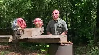 1873 Winchester in 32-20 versus zombie heads ￼