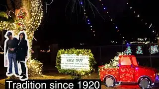Christmas Tree Lane in California